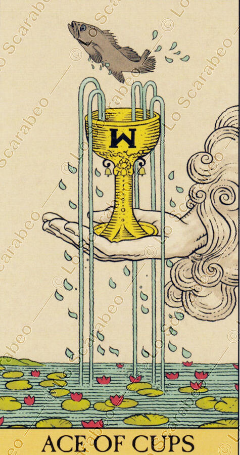 Ace of Cups
